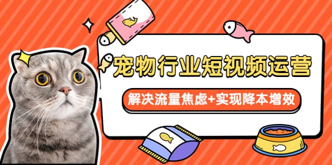 宠物/行业短视频运营 流量增长的一层窗户纸 解决流量焦虑+实现降本增效多客网创-网创项目资源站-副业项目-创业项目-搞钱项目多客网创