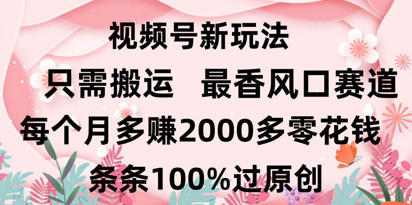 日入2000+，条条100%过原创，视频号最香风口赛道，小白轻松上手多客网创-网创项目资源站-副业项目-创业项目-搞钱项目多客网创