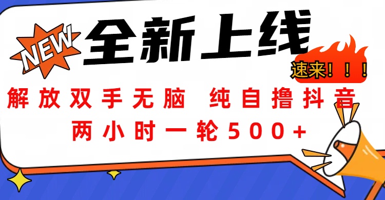 解放双手无脑 纯自撸抖音 两小时一轮500+多客网创-网创项目资源站-副业项目-创业项目-搞钱项目多客网创