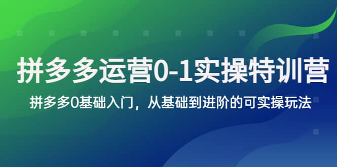 拼多多-运营0-1实操训练营，拼多多0基础入门，从基础到进阶的可实操玩法多客网创-网创项目资源站-副业项目-创业项目-搞钱项目多客网创