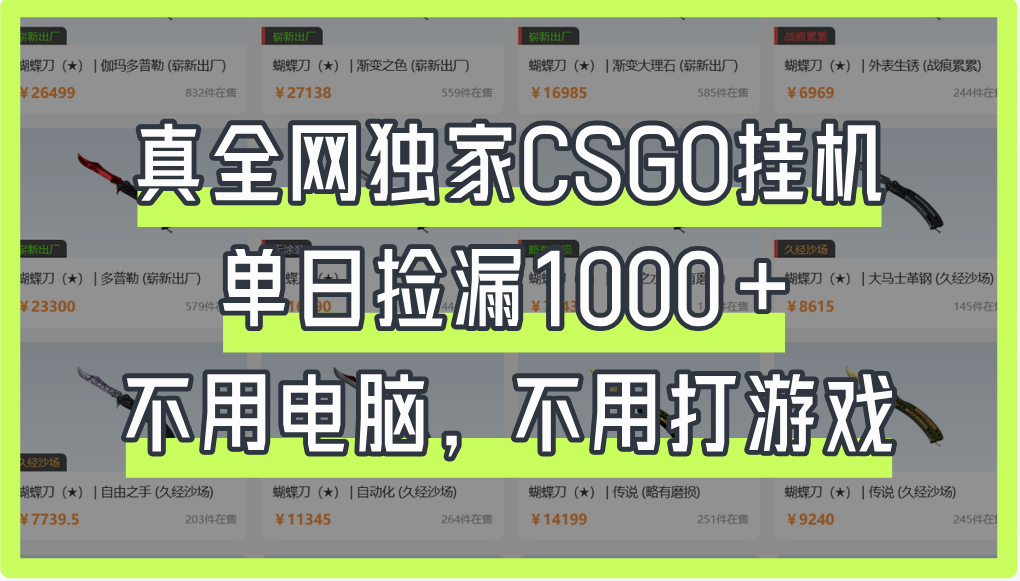 真全网独家CSGO挂机，单日捡漏1000+多客网创-网创项目资源站-副业项目-创业项目-搞钱项目多客网创