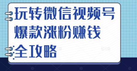 玩转微信视频号爆款涨粉赚钱全攻略，让你快速抓住流量风口，收获红利财富多客网创-网创项目资源站-副业项目-创业项目-搞钱项目多客网创