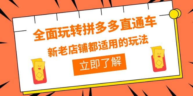 全面玩转拼多多直通车，新老店铺都适用的玩法（12节精华课）多客网创-网创项目资源站-副业项目-创业项目-搞钱项目多客网创