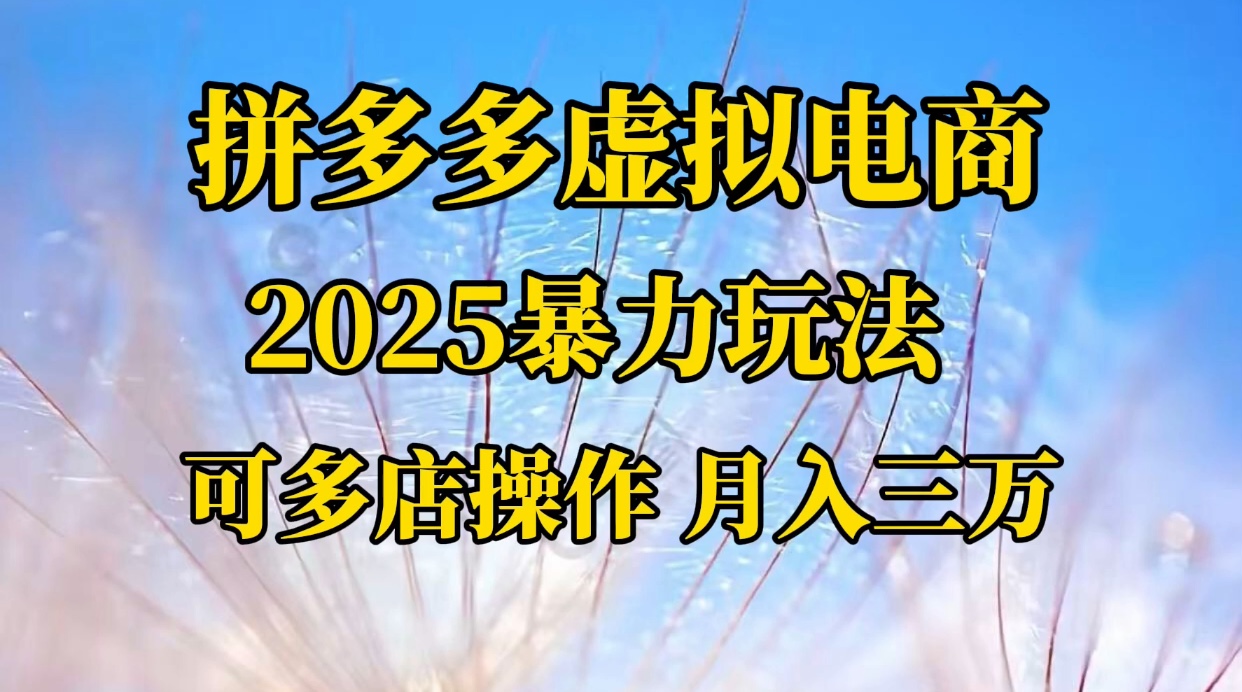 拼多多虚拟电商，不囤货不垫资的虚拟电商多客网创-网创项目资源站-副业项目-创业项目-搞钱项目多客网创