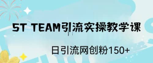 ST TEAM引流实操课，日引流网创粉100+多客网创-网创项目资源站-副业项目-创业项目-搞钱项目多客网创