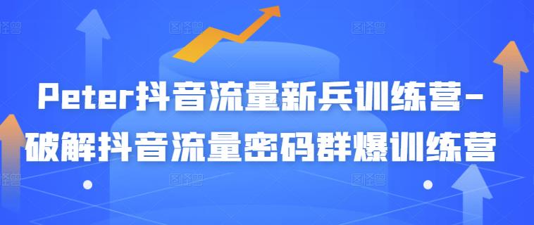 Peter抖音流量新兵训练营-破解抖音流量密码群爆训练营（新兵）多客网创-网创项目资源站-副业项目-创业项目-搞钱项目多客网创
