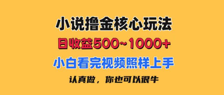 小说撸金核心玩法，日收益500-1000+，小白看完照样上手，0成本有手就行多客网创-网创项目资源站-副业项目-创业项目-搞钱项目多客网创