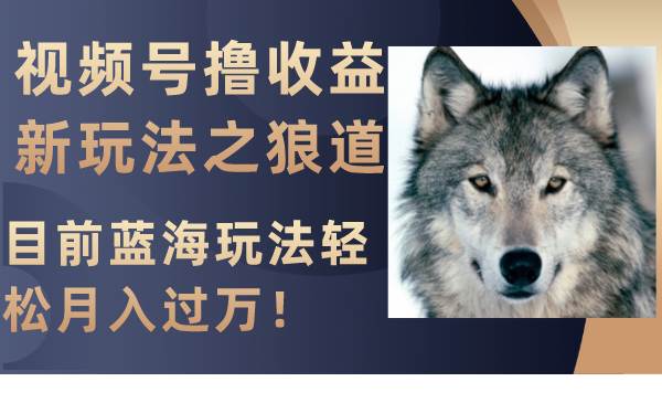 视频号撸收益新玩法之狼道，目前蓝海玩法轻松月入过万！多客网创-网创项目资源站-副业项目-创业项目-搞钱项目多客网创