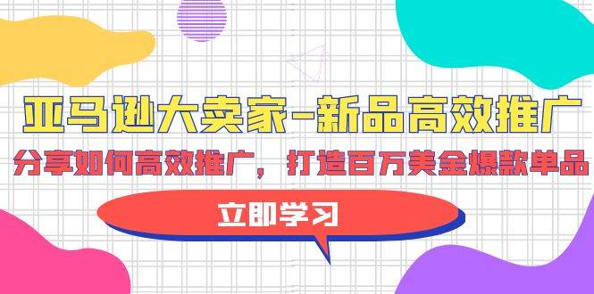 亚马逊 大卖家-新品高效推广，分享如何高效推广，打造百万美金爆款单品多客网创-网创项目资源站-副业项目-创业项目-搞钱项目多客网创