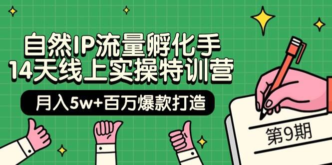 自然IP流量孵化手 14天线上实操特训营【第9期】月入5w+百万爆款打造 (74节)多客网创-网创项目资源站-副业项目-创业项目-搞钱项目多客网创