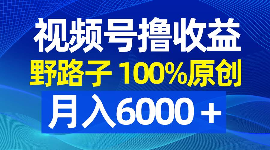 视频号野路子撸收益，100%原创，条条爆款，月入6000＋多客网创-网创项目资源站-副业项目-创业项目-搞钱项目多客网创