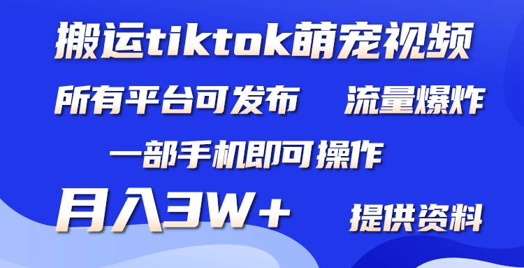 搬运Tiktok萌宠类视频，一部手机即可。所有短视频平台均可操作，月入3W+多客网创-网创项目资源站-副业项目-创业项目-搞钱项目多客网创