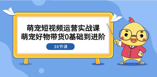 萌宠·短视频运营实战课：萌宠好物带货0基础到进阶（38节课）多客网创-网创项目资源站-副业项目-创业项目-搞钱项目多客网创